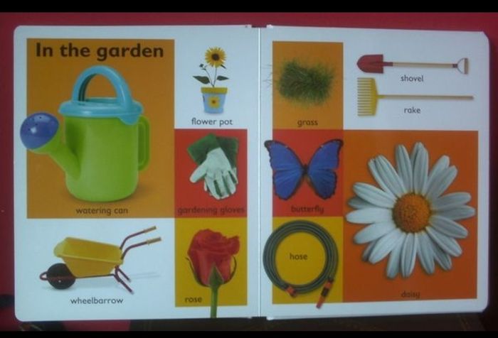 Baby Book