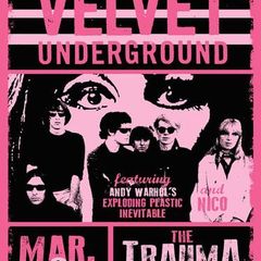 The Velvet Underground - Philadelphia 1968 - Rare Mini Print/Poster