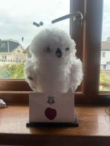 Harry Potter Talking Hedwig