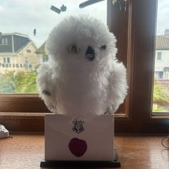 Harry Potter Talking Hedwig