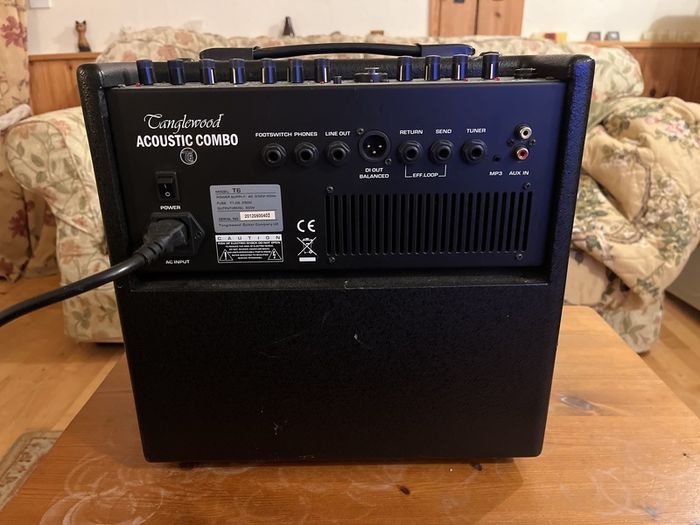 Tangle wood T6 acoustic guitar amp combo