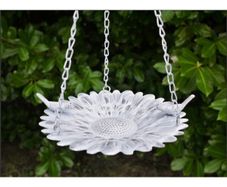 Bird Feeder D5170
