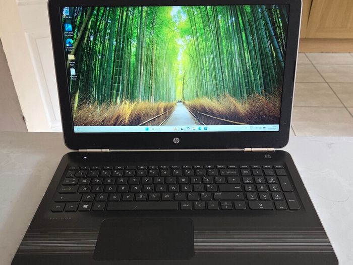HP Pavilion 15.6 AW Series