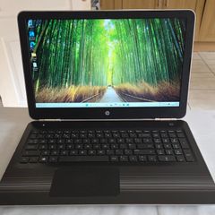 HP Pavilion 15.6 AW Series