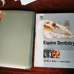 Equine Dentistry by Gordon Baker and Jack Easley