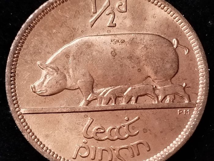 Ireland - 1966 - Half Penny - UNC - KM.10 - [566]