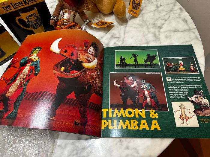 The Lion King Merchandise Bundle