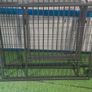 Puppy pen Image 2