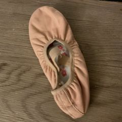 ballet shoe