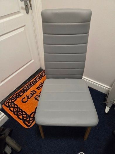Dining Chairs x 2