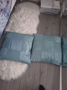 X2 Duck Egg Extra Large Cushions