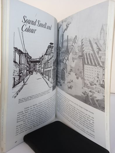 Me Jewel and Darlin' Dublin by Eamonn MacThomais. Illustrated by Michael O'Brien (HQ859)