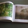 Wild Garden Landscape photography from County Wicklow Ireland Irish Image 5