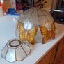 Mother of Pearl butterfly Light Image 5