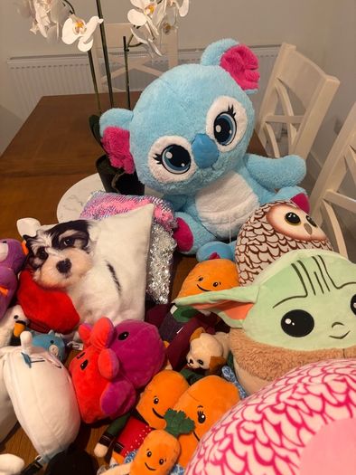 Squish teddy's and other teddys