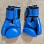 Boxing Gloves (competition) Image 2