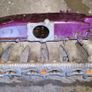 S Chassis S13 S14 Sylvia R33 Skyline Parts Image 9