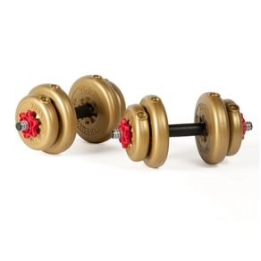 York 15kg Adjustable Dumbbell set