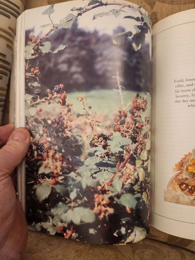 The Fields In Winter. Sporting Memories Of A Bygone Age.  By Graham Downing. First Edition Hardback With Dustjacket In Good Condition.