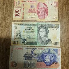 Foreign notes