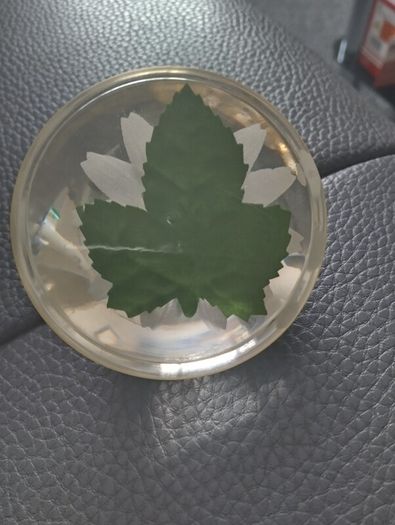paperweight with bee inside on a daisy.Hard plastic