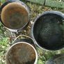 A selection of old skillets Image 4