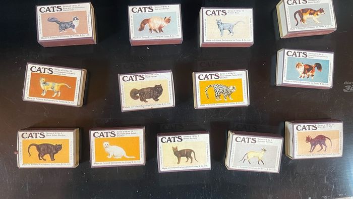 13 Vintage Cats Matchboxes