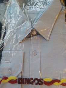 Dingos Shirt