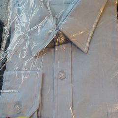 Dingos Shirt