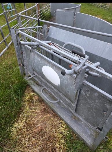 Sheep turnover crate
