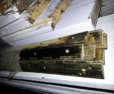 piano hinges