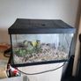 Fish Tank Image 2