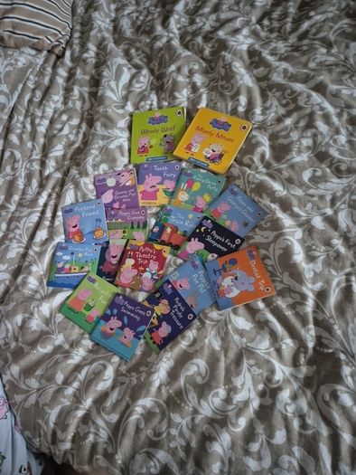 Bundle of Peppa pig books
