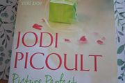 Picture Perfect book