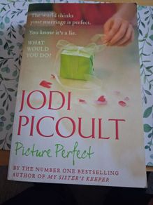 Picture Perfect book