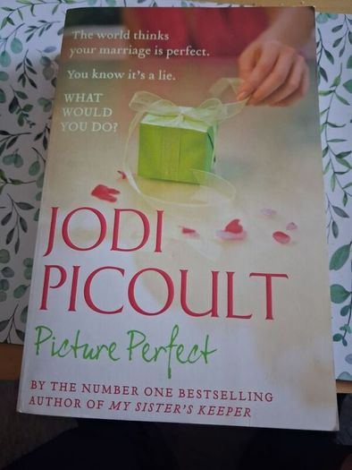 Picture Perfect book
