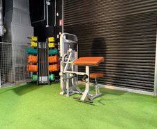 Impulse Fitness Biceps/Triceps Machine | Dublin