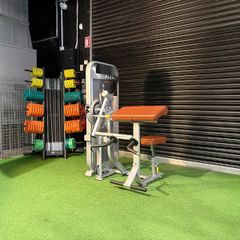 Impulse Fitness Biceps/Triceps Machine | Dublin