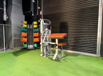 Impulse Fitness Biceps/Triceps Machine | Dublin