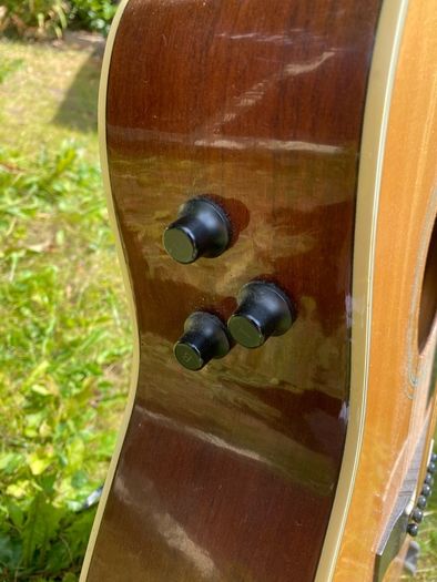 12-String Acoustic Electric Guitar (Yamaha FG420E-12)