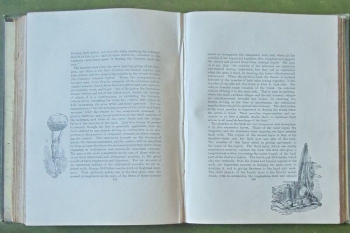 Sandow's On Physical Training. G. Mercer Adam. A. Casarin. Victorian, Physical Culture, Bodybuilding, Strongman, Gymnastics, Weightlifting, Dumbbells, Anatomy, Exercise Manual, Human Form, Photography, Antiquarian, Rare Edition, Gale Polden, London.