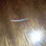 Mahogany Coffee Table Image 4