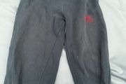 St. Wolstan's Track Legs