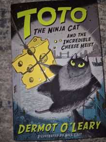 TOTO The ninja cat