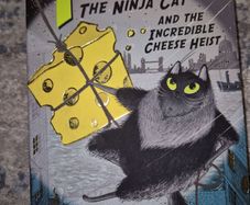 TOTO The ninja cat