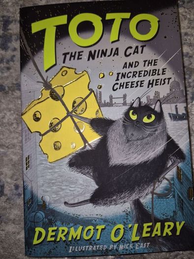 TOTO The ninja cat