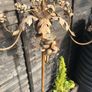Antique or wedding  candle stands. Image 4