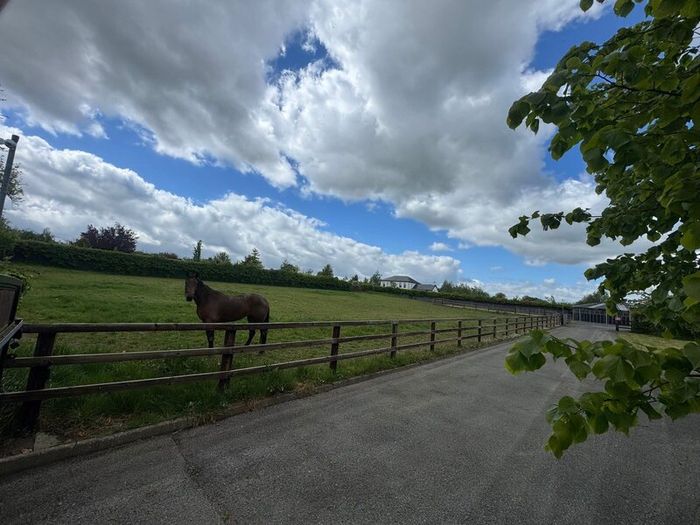 6 stables  walker sand paddock half acre paddock