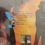 Stevie Ray Vaughan CD - Couldn't Stand The Weather Image 2