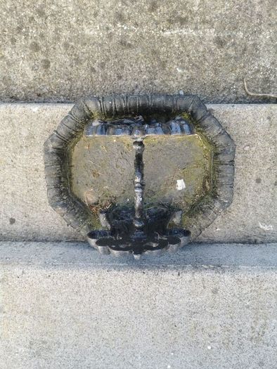 Large Victorian Foot Scraper